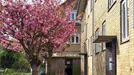 Andelsbolig til salg, Gentofte, &lt;span class=&quot;blurred street&quot; onclick=&quot;ProcessAdRequest(772380)&quot;&gt;&lt;span class=&quot;hint&quot;&gt;Se vej-navn&lt;/span&gt;[xxxxxxxxxx]&lt;/span&gt;